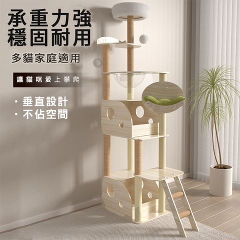 多貓家庭適用