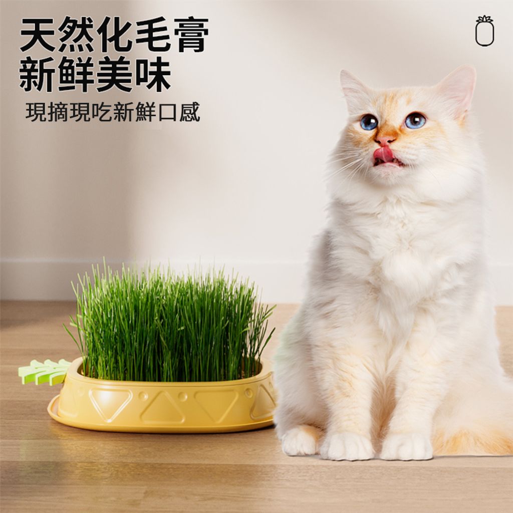 現摘現吃新鮮口感