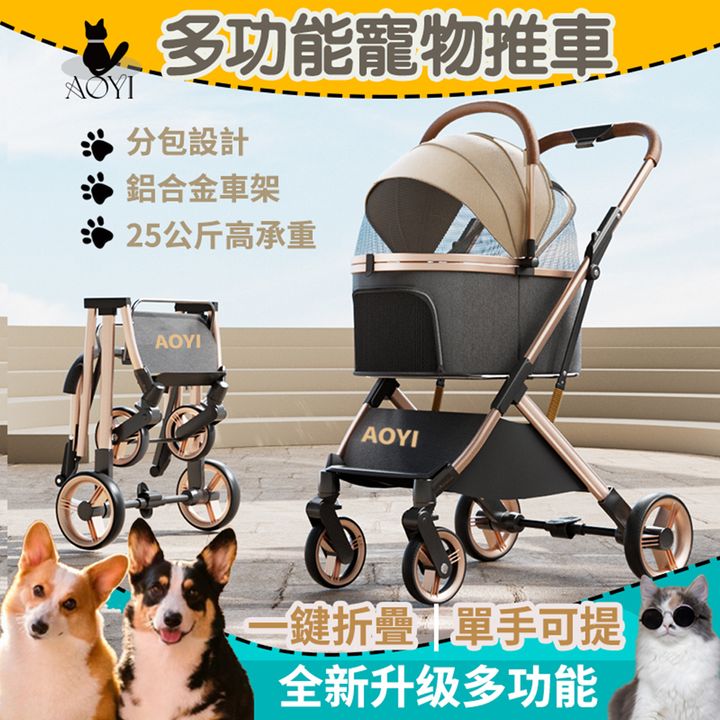 圖層 2