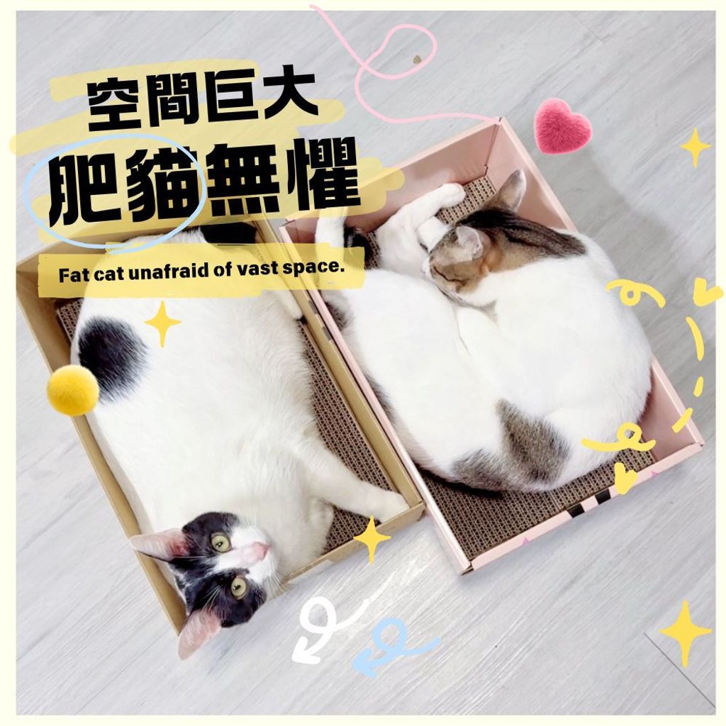 HAPPY CAT