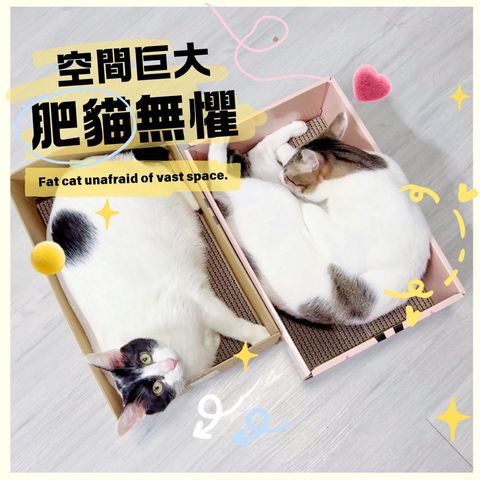 HAPPY CAT