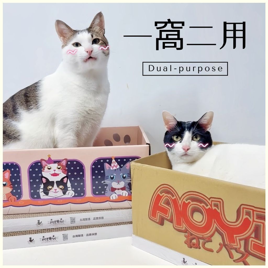 HAPPY CAT (2)