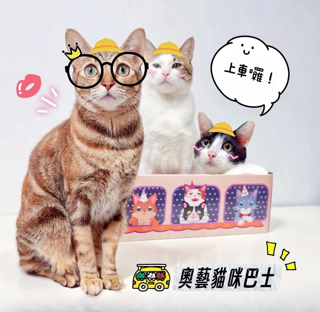 LINE_ALBUM_貓咪巴士_250107_23