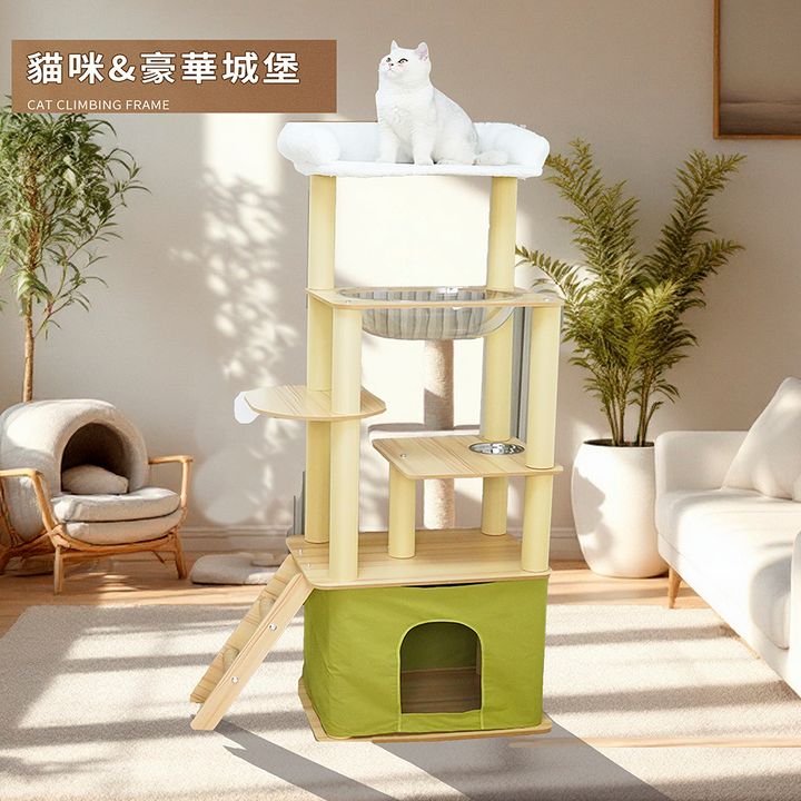 背景