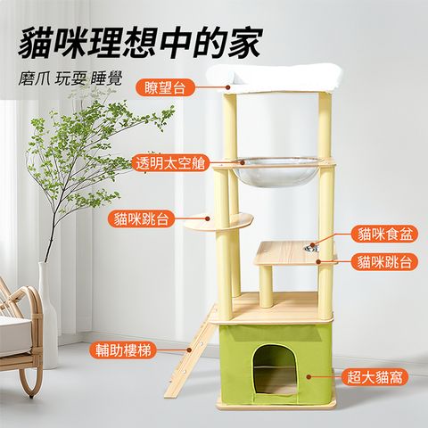 主图4
