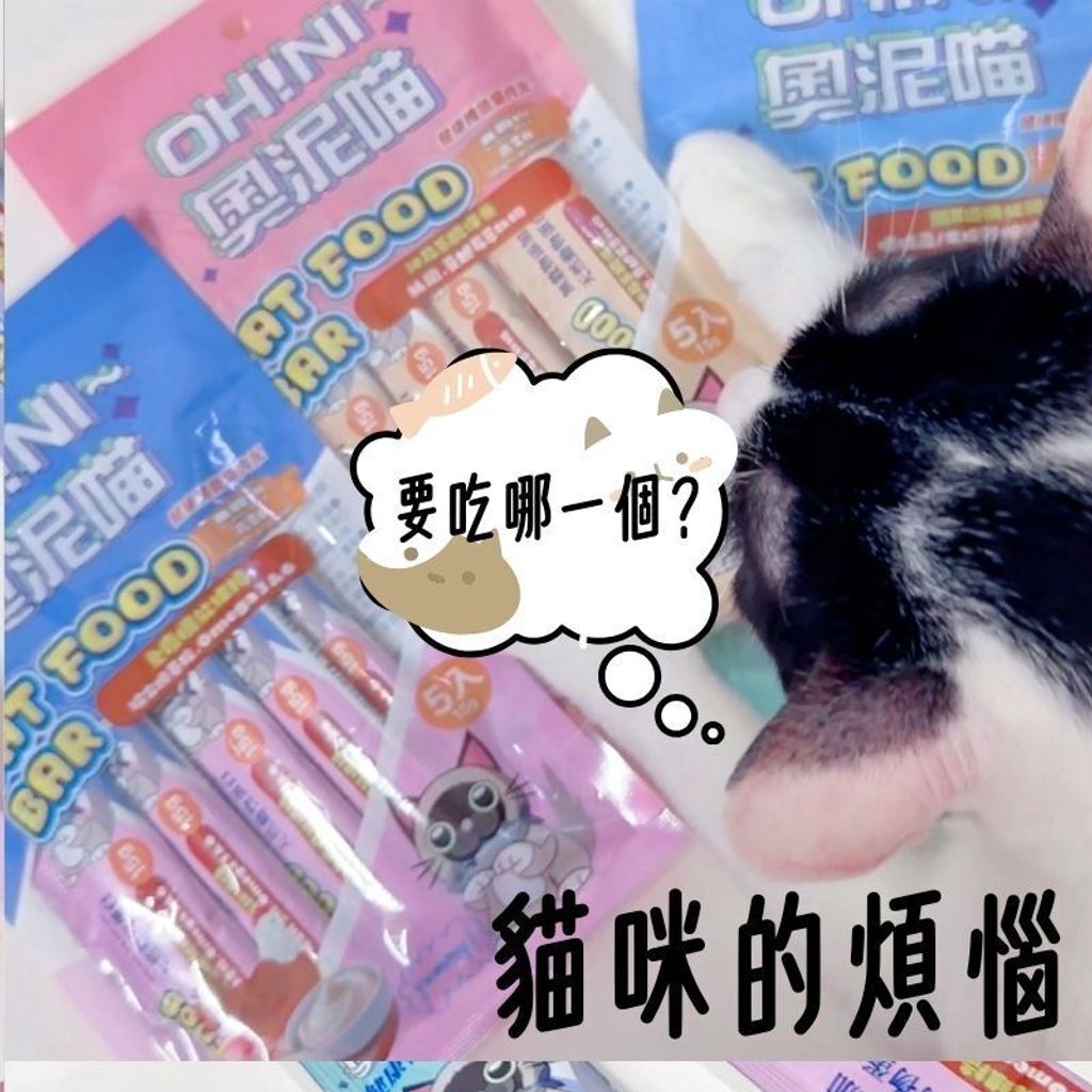 貓咪煩惱