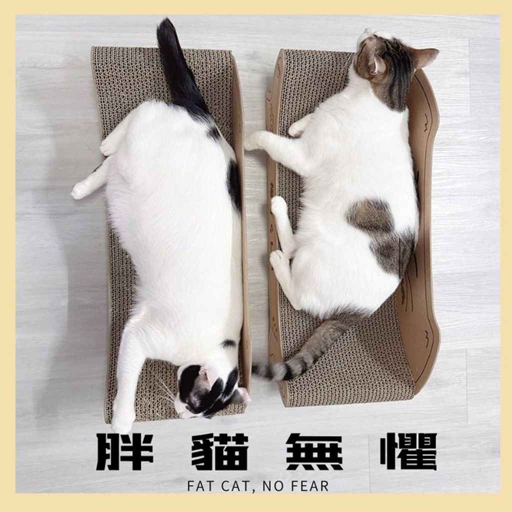LINE_ALBUM_元氣貴妃椅_250605_11 (2)