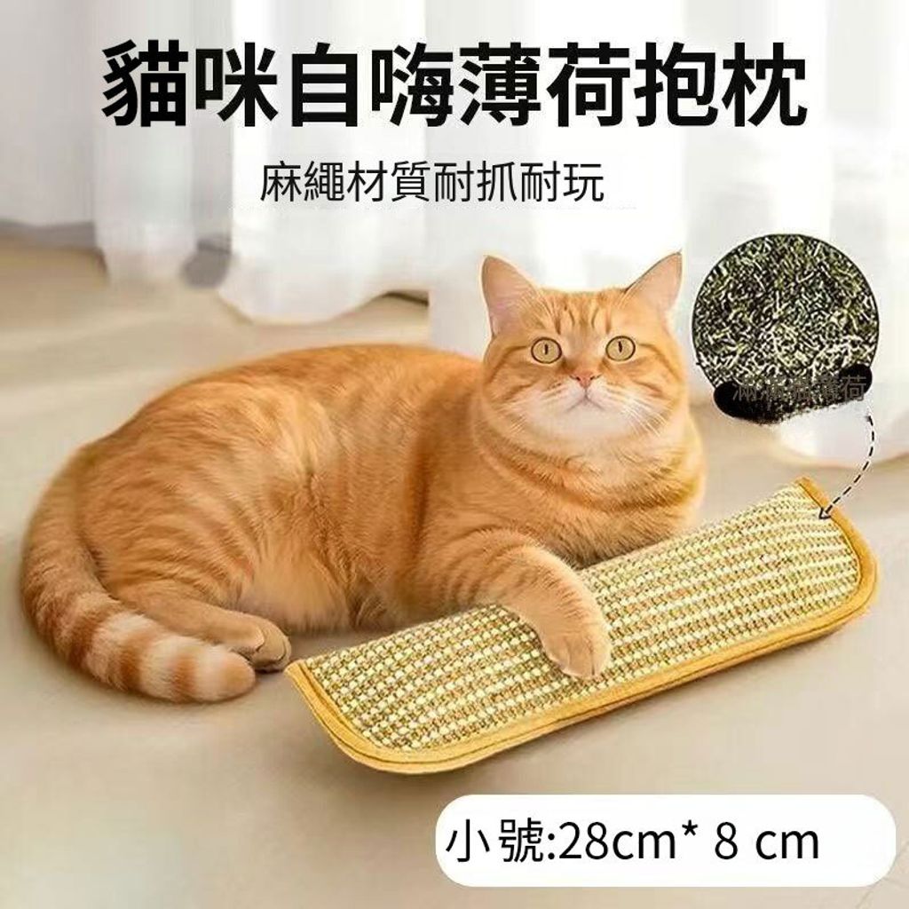 小号
