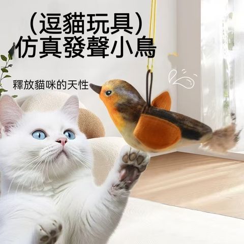 圖片_20250922135558_19_20