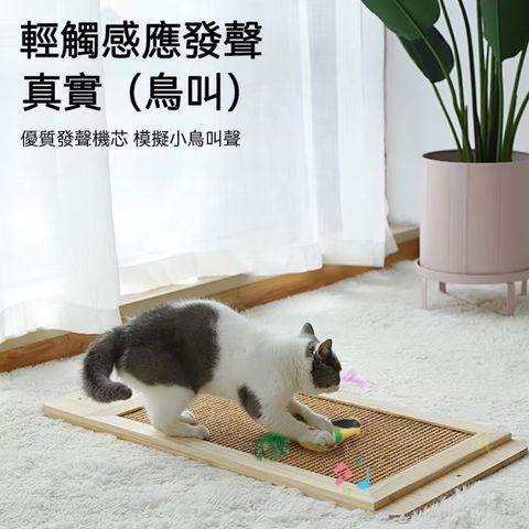 圖片_20250922134707_15_20