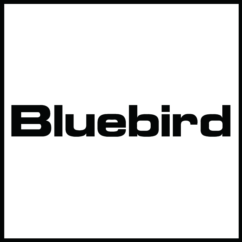 BLUEBIRD