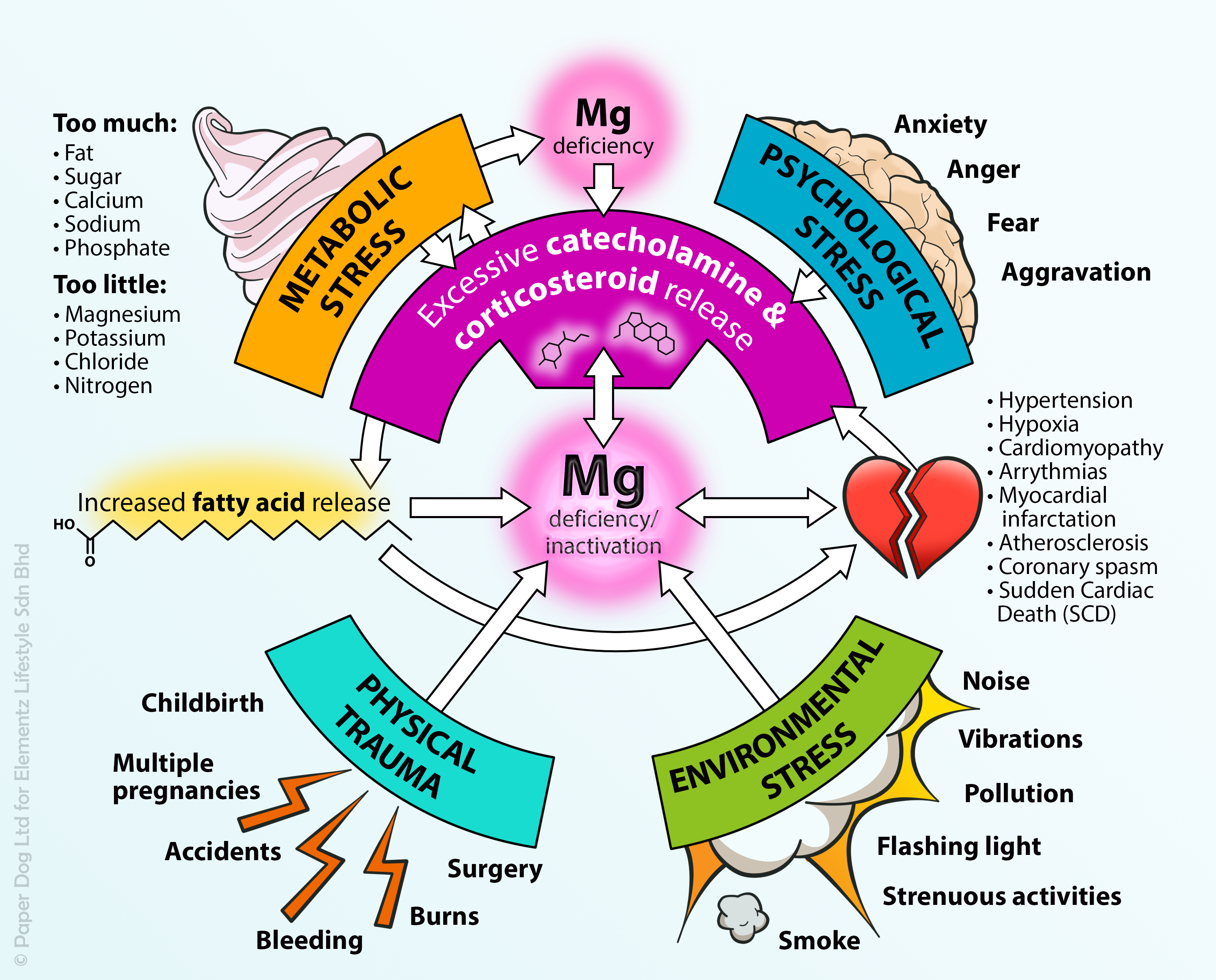 Magnesium deficiency image_28 Feb 2023 
