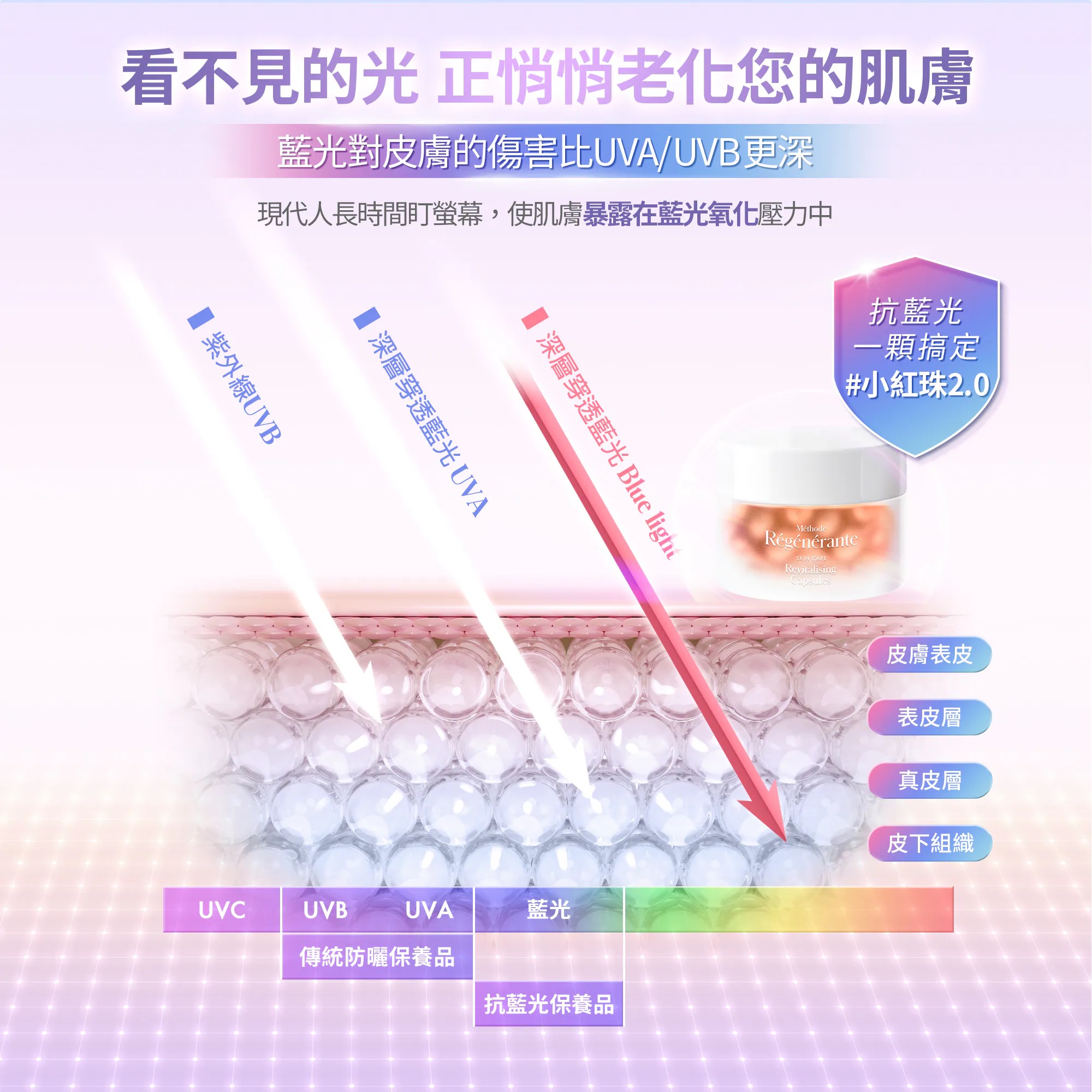影像 31