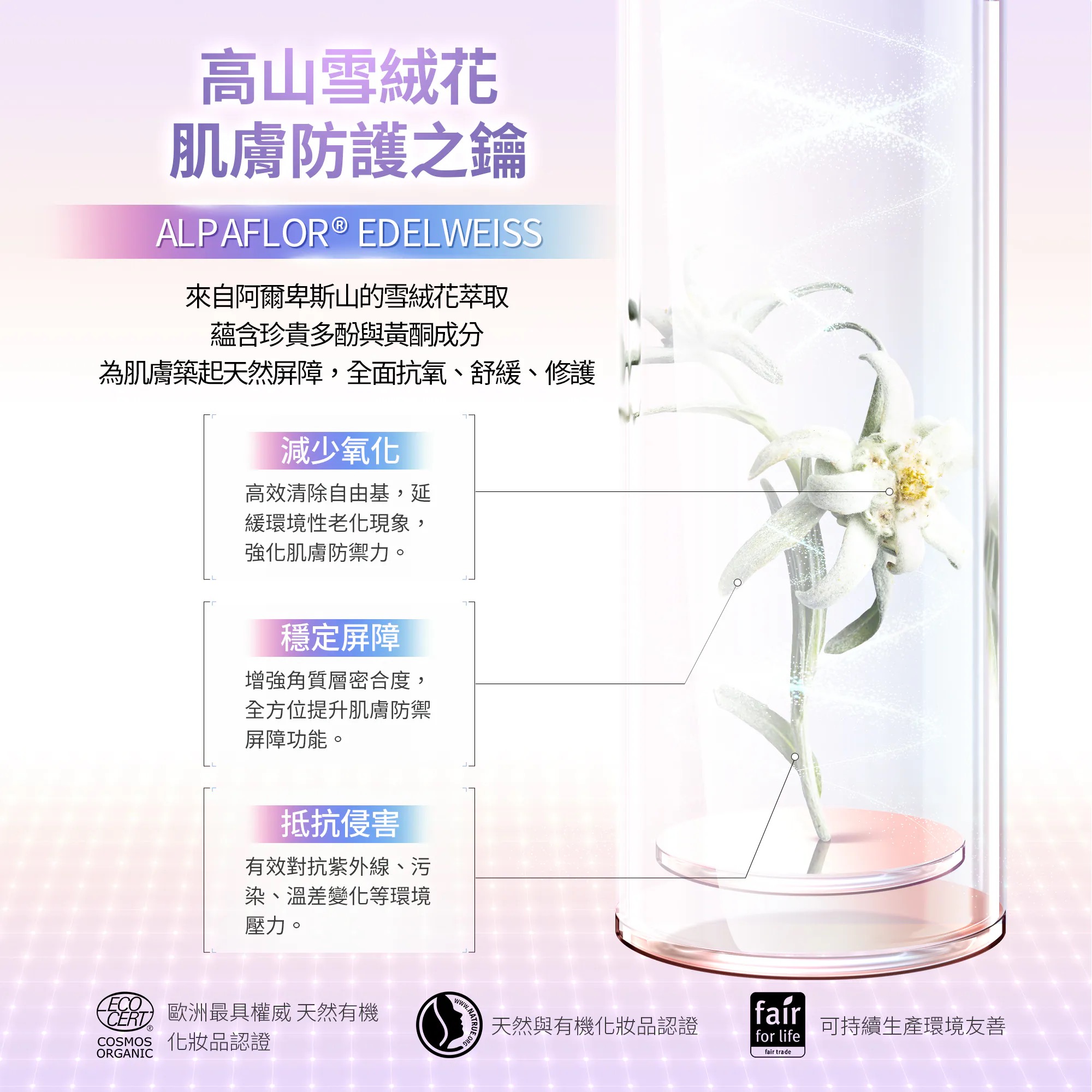 影像 53