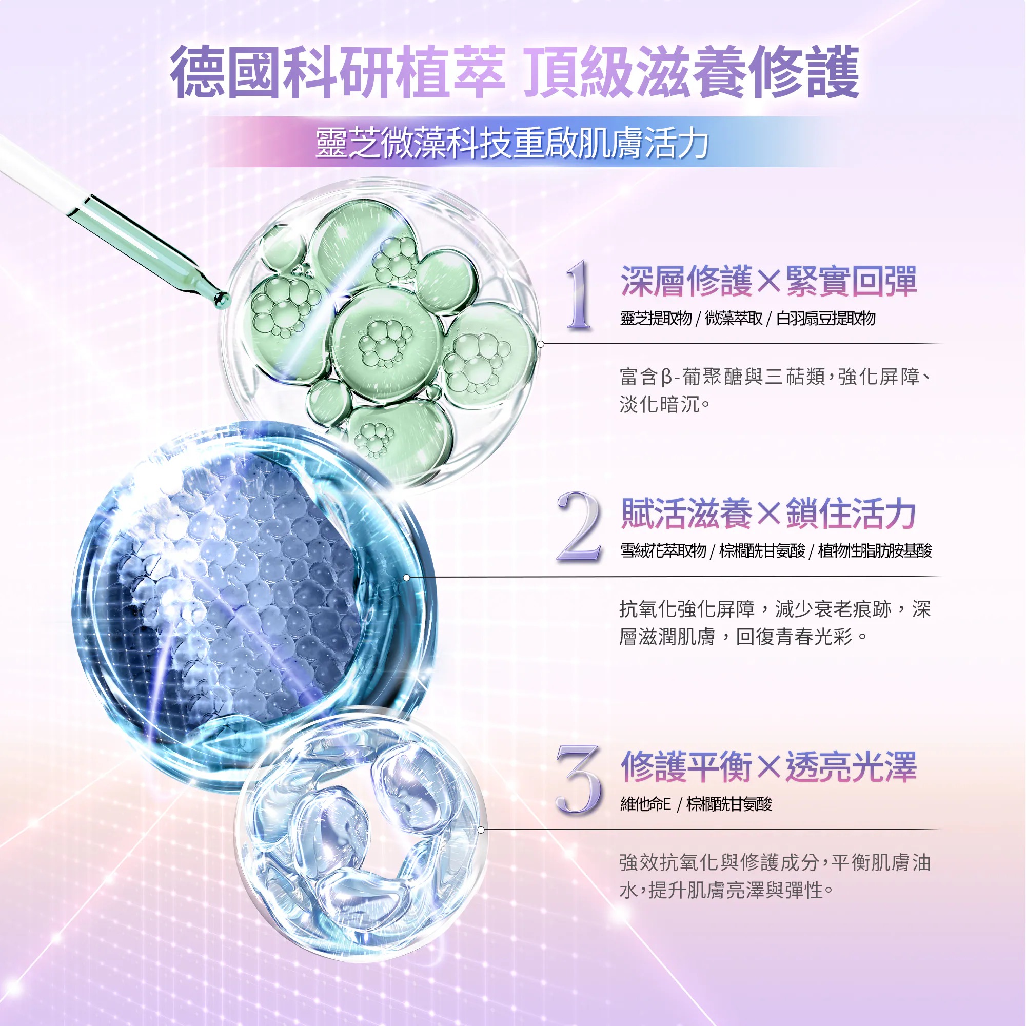 影像 51