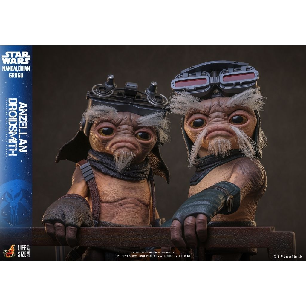 my-11134207-820l8-mmclexger85f17