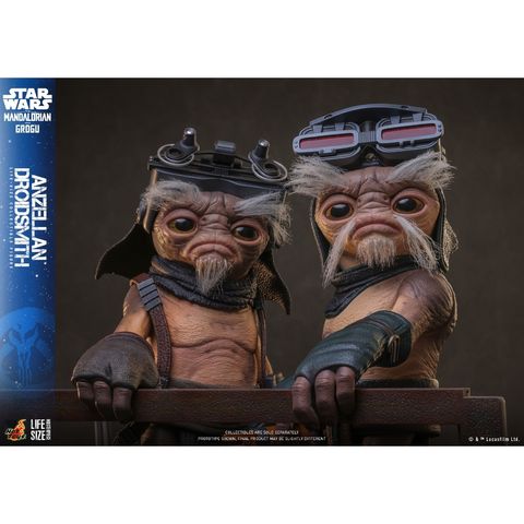 my-11134207-820l8-mmclexger85f17