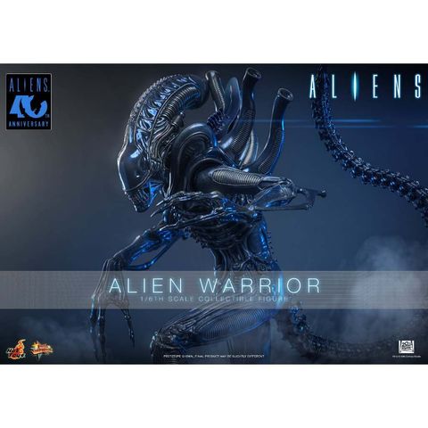 HOT TOYS MMS898 Alien Warrior (Aliens)