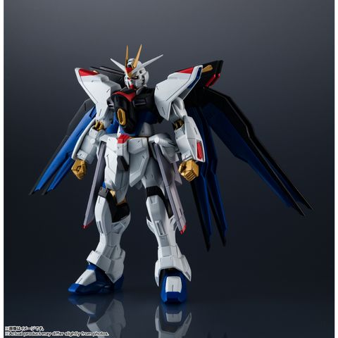 TAMASHII NATIONS GUNDAM SERIES ZGMF-X20A STRIKE FREEDOM GUNDAM