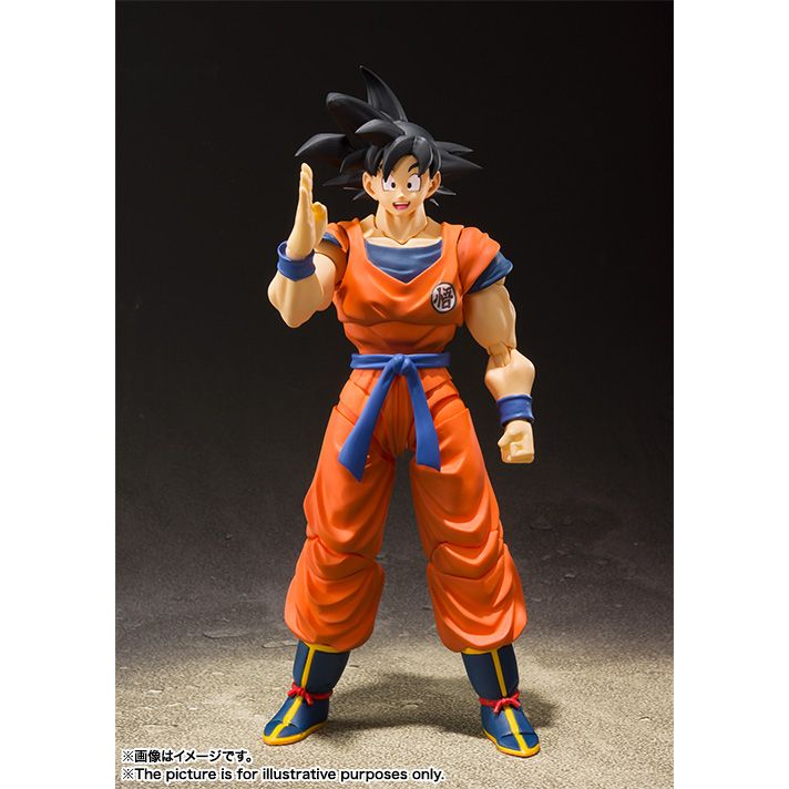 TAMASHII NATIONS S.H.Figuarts GOKU A SAIYAN RAISED ON EARTH