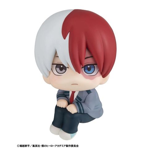 LOOK UP SERIES Shoto Todoroki