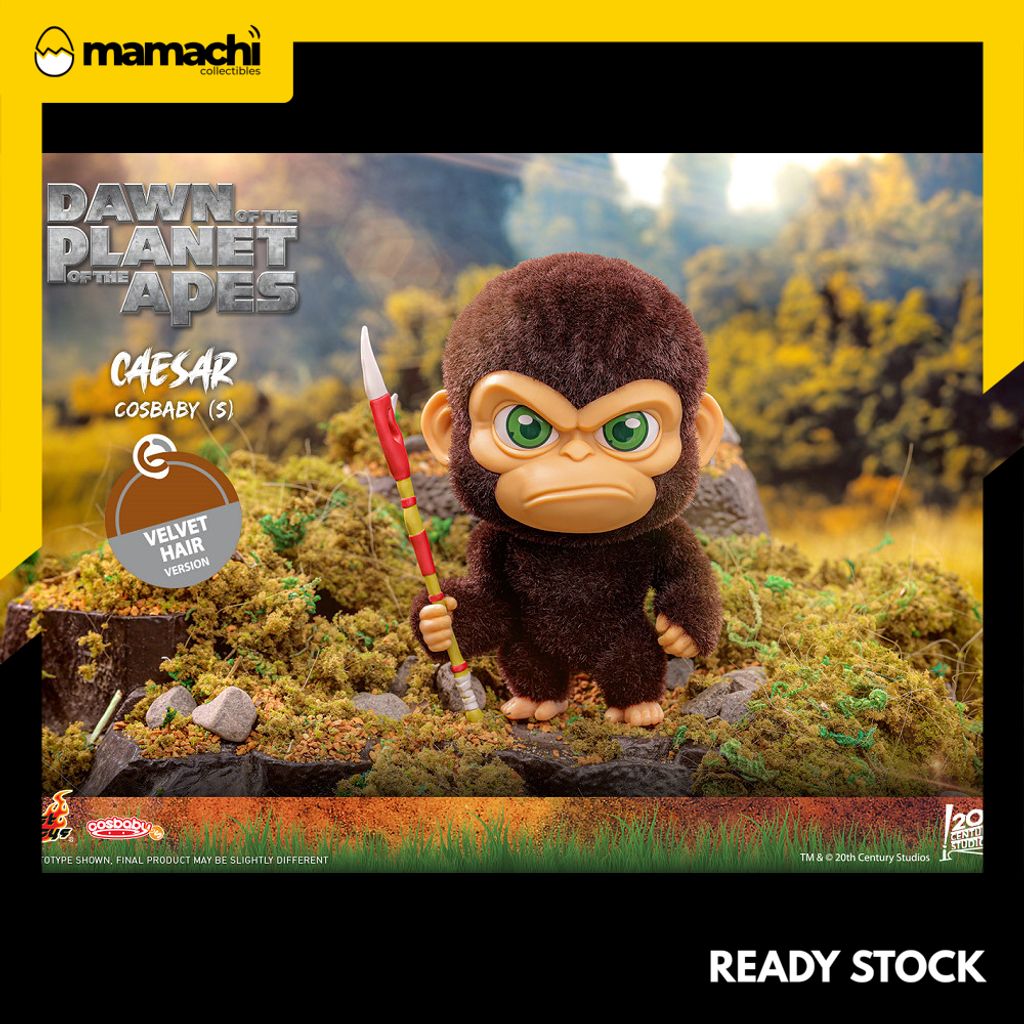 my-11134207-820l5-mh0o53w6r4zze7