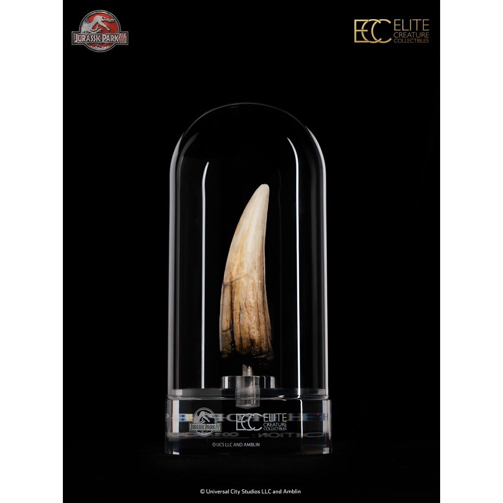 ECC Spinosaurus Tooth Prop Reproduction (Jurassic Park III)