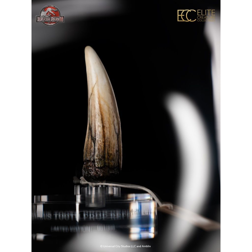 my-11134207-820lh-mkghpb04dgclde