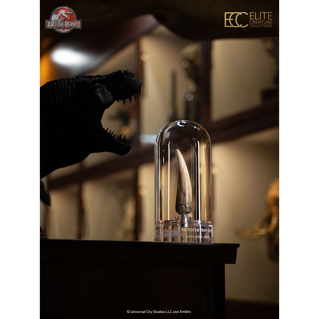 my-11134207-820l5-mkghpb05tfcw39