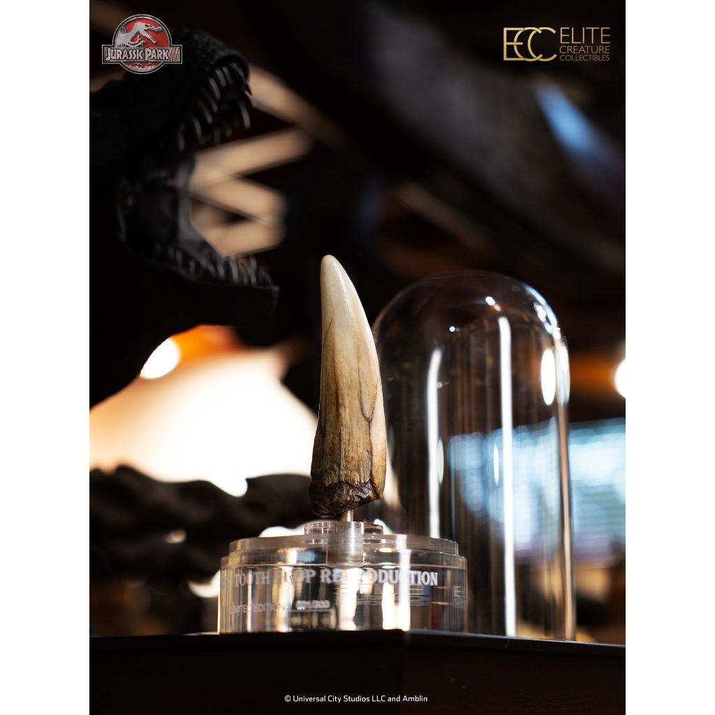 my-11134207-820li-mkghpb00mlu0b8