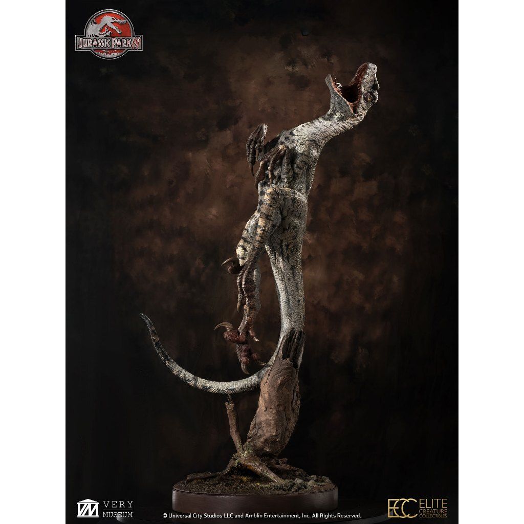 my-11134207-820la-mhloo9y6ky6843