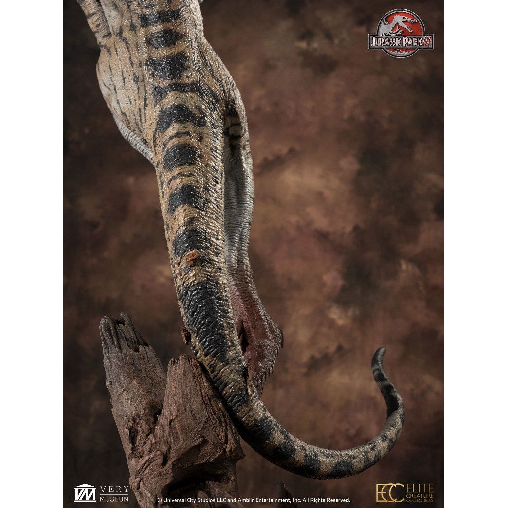 my-11134207-820l8-mhloo9voizgmdc