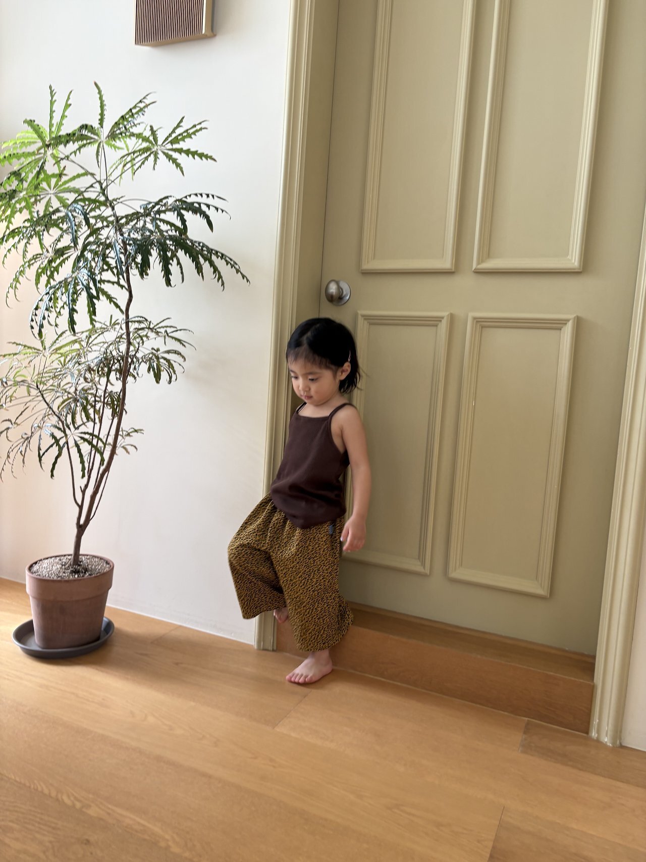 _JCibq5.KQhasMaeVoa_3