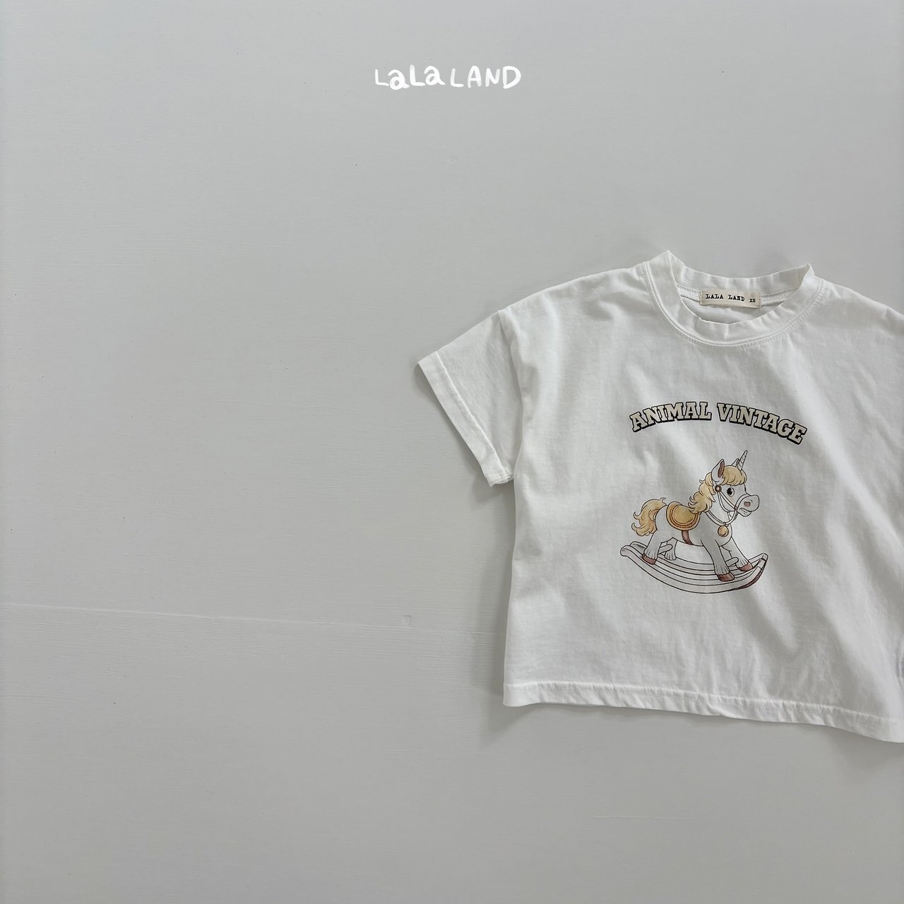 img_xl (6)