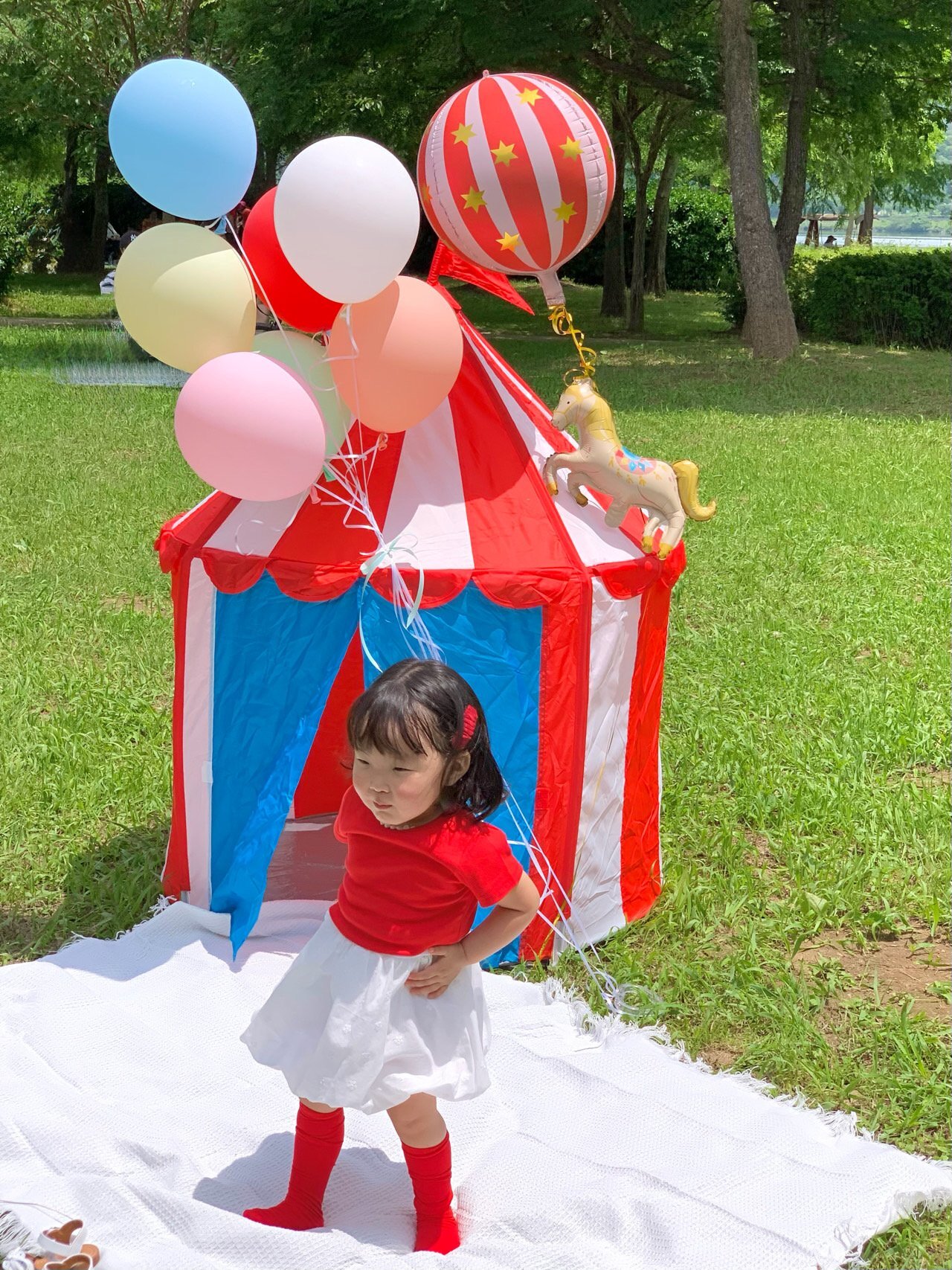 img_xl (24)