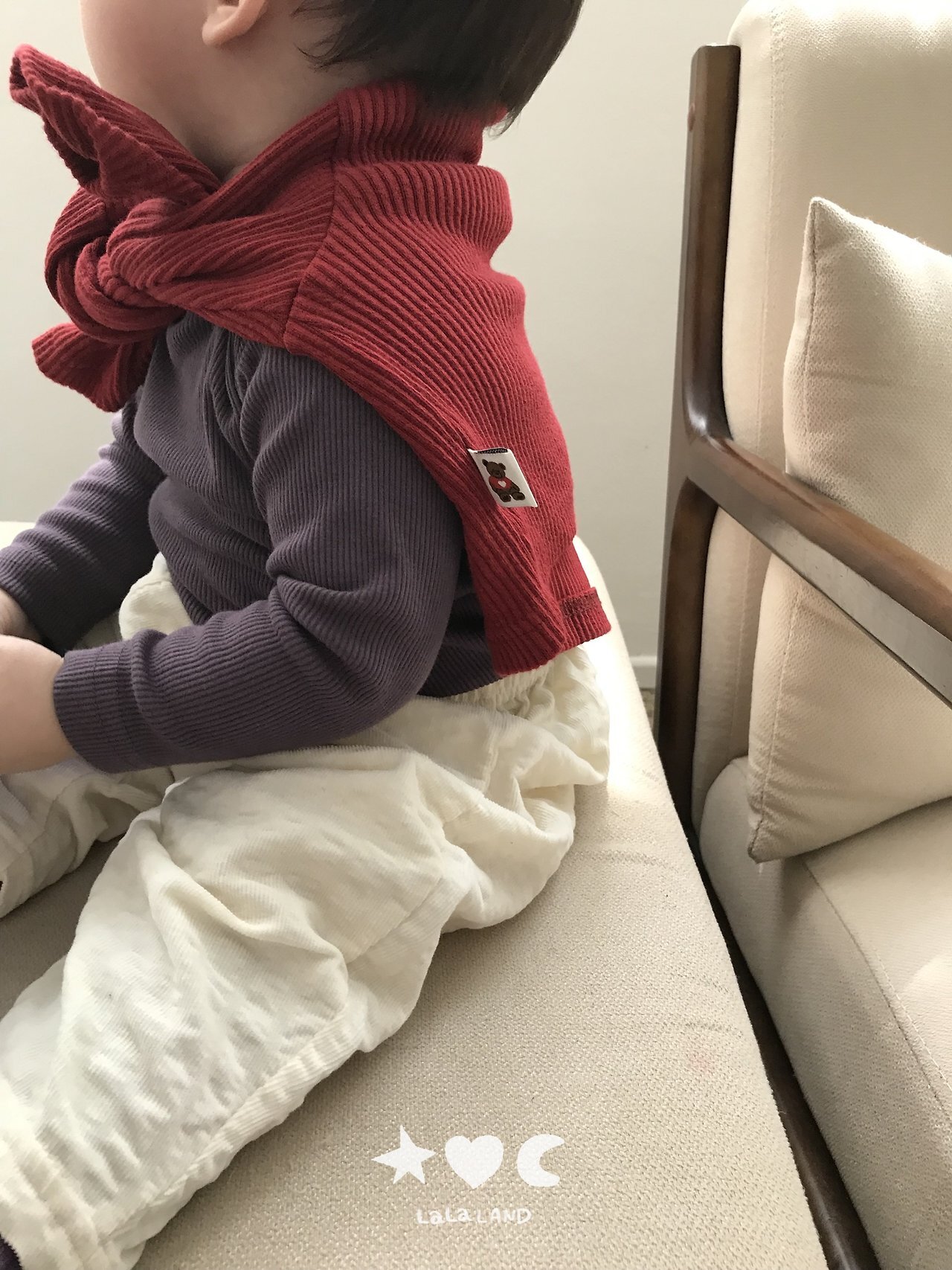 88_202608042336C