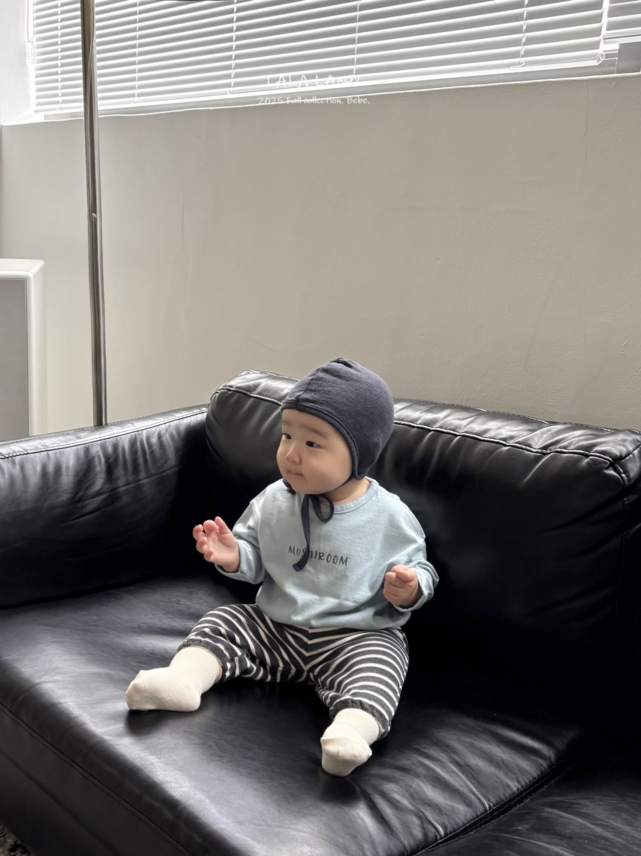 img_xl (31)