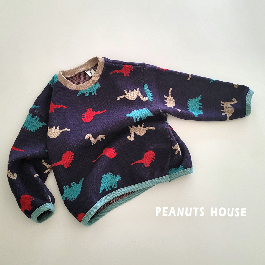 10.공룡니트티02