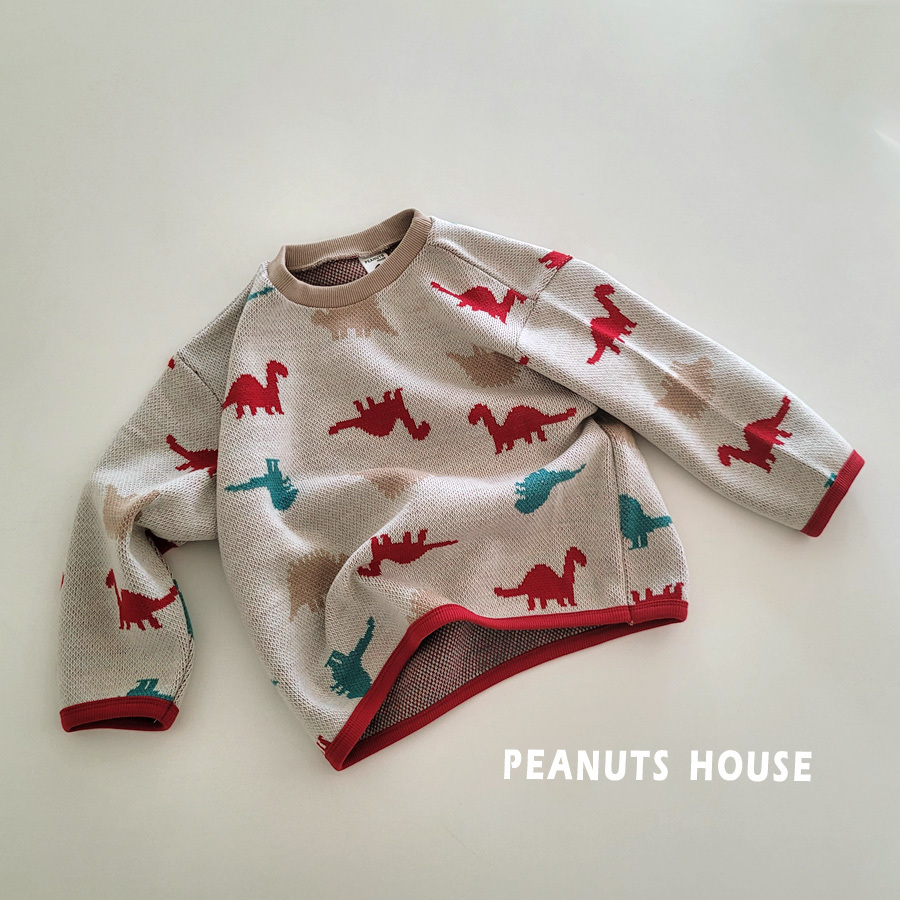 10.공룡니트티04