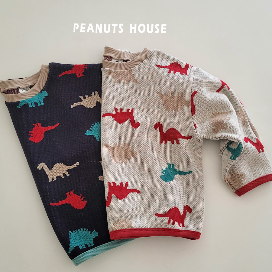 10.공룡니트티01