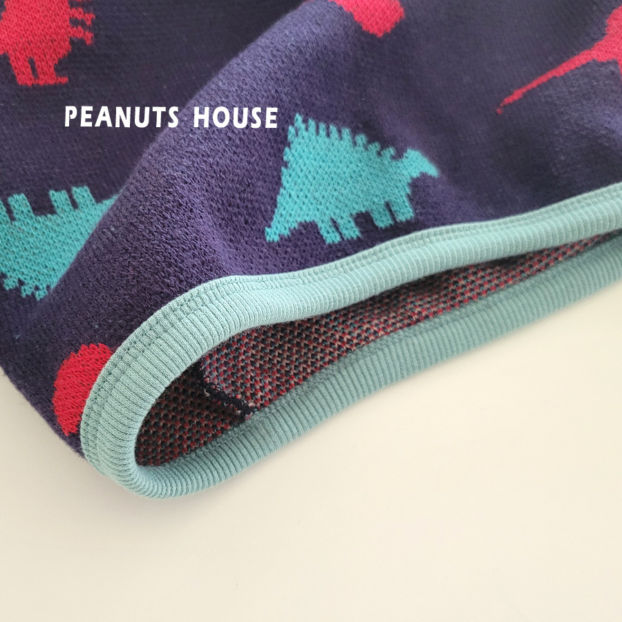 10.공룡니트티03