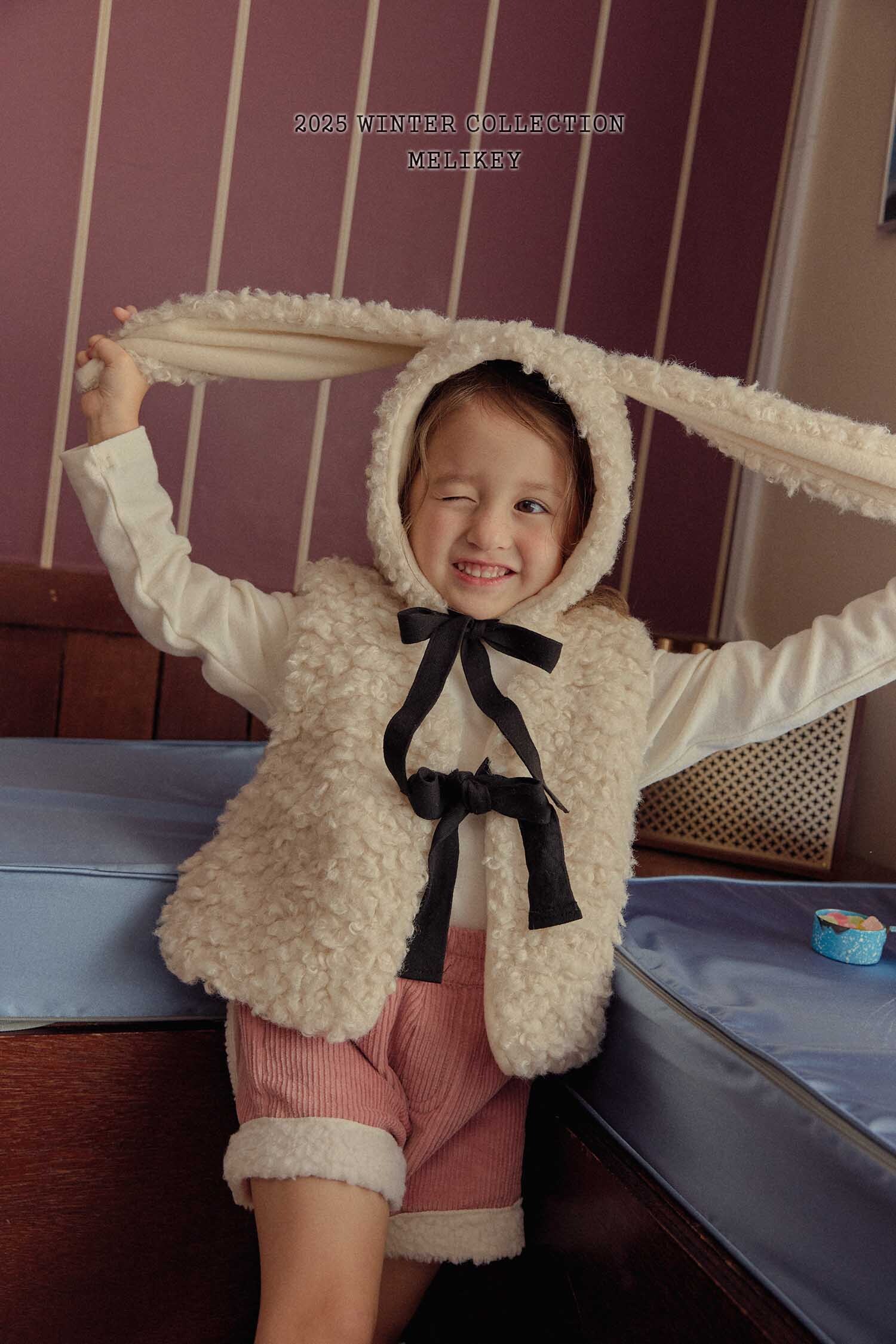 MK3060 복사