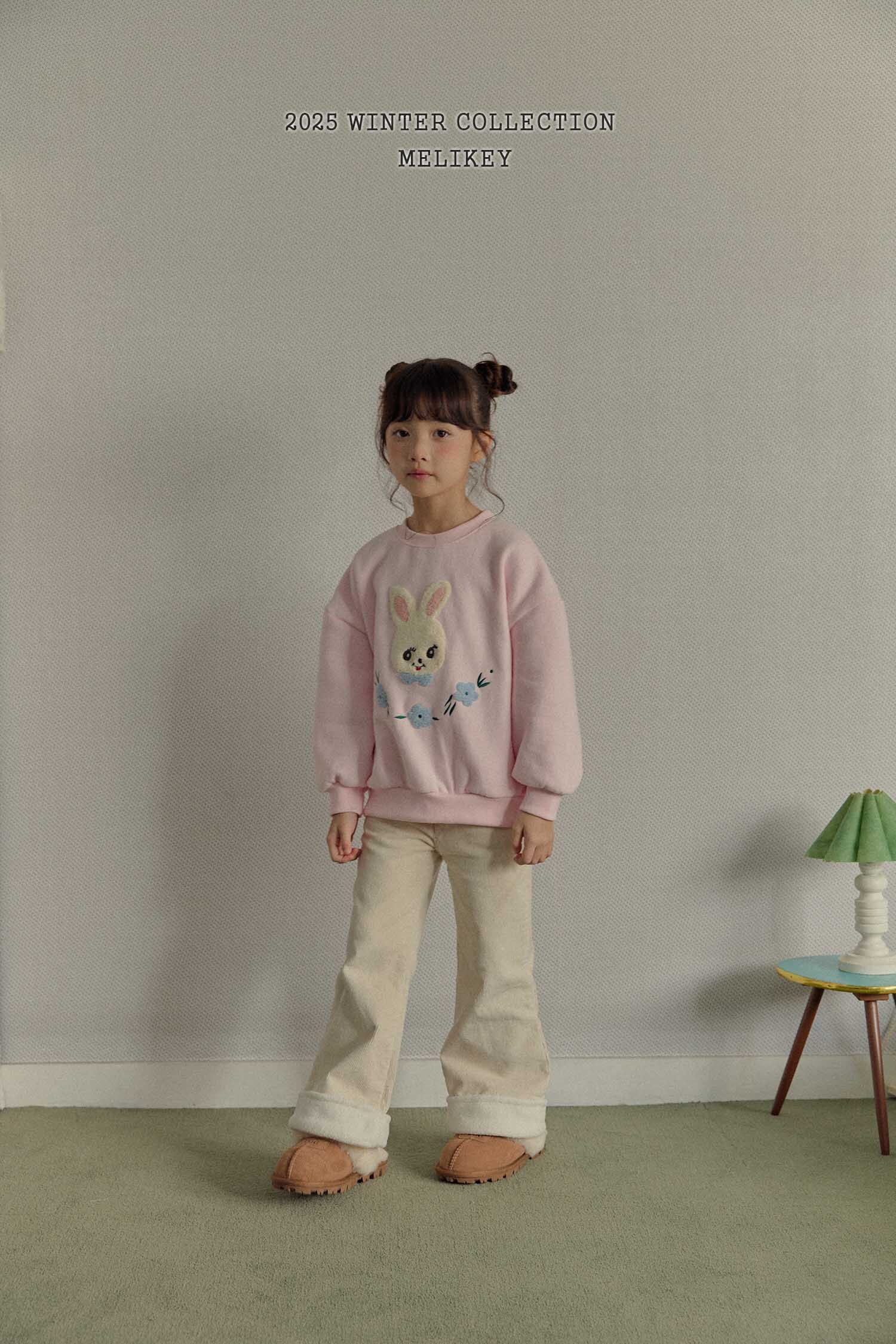 MK2806 복사