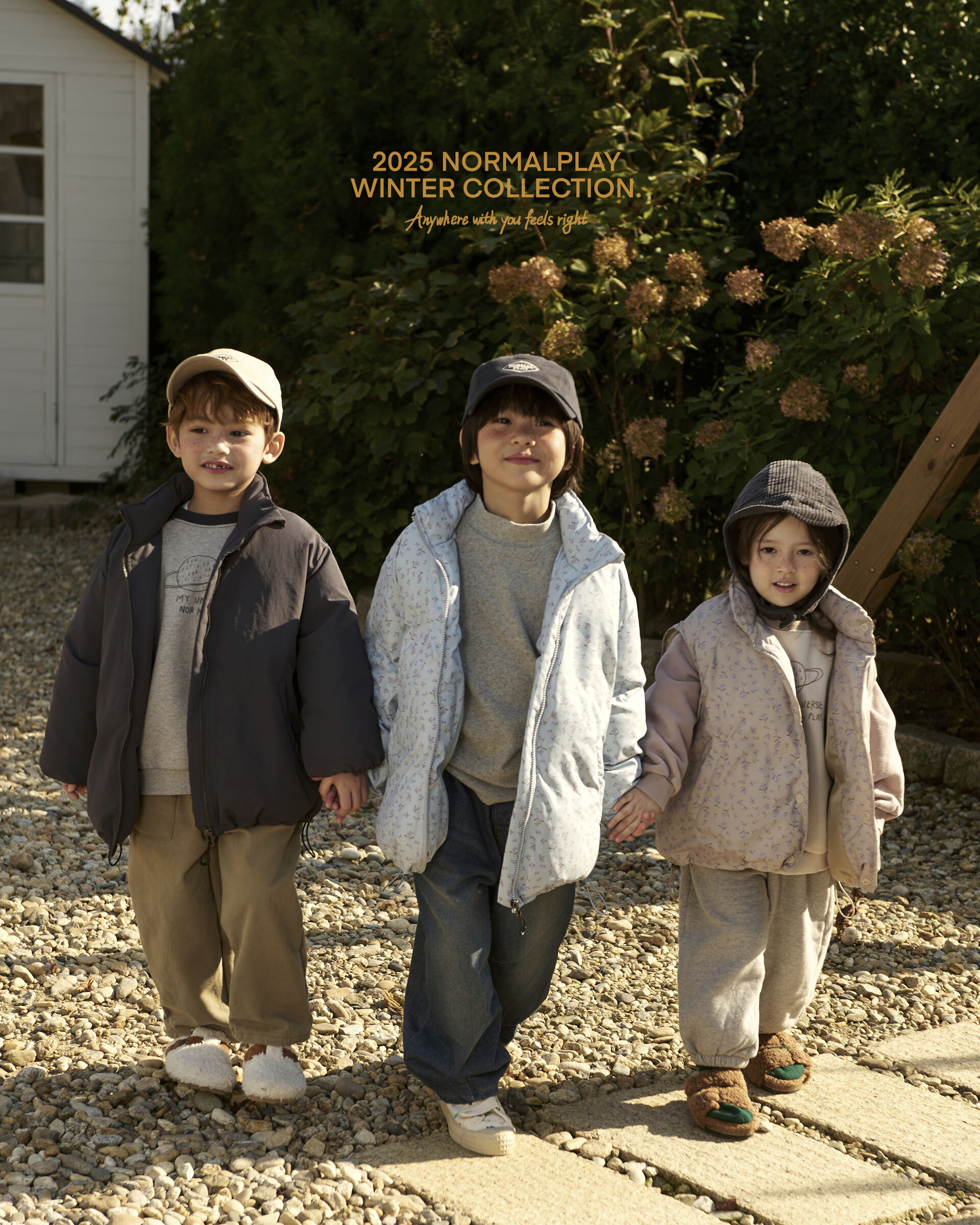 코디컷 3