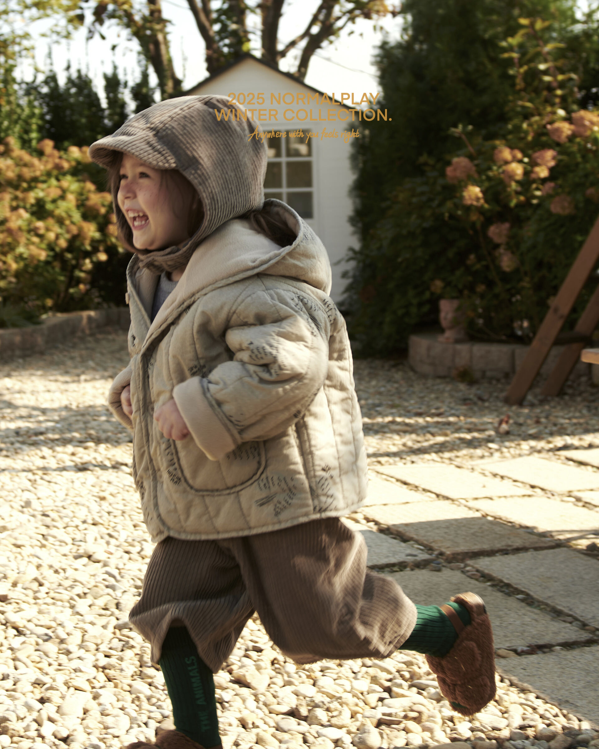 코디컷 17