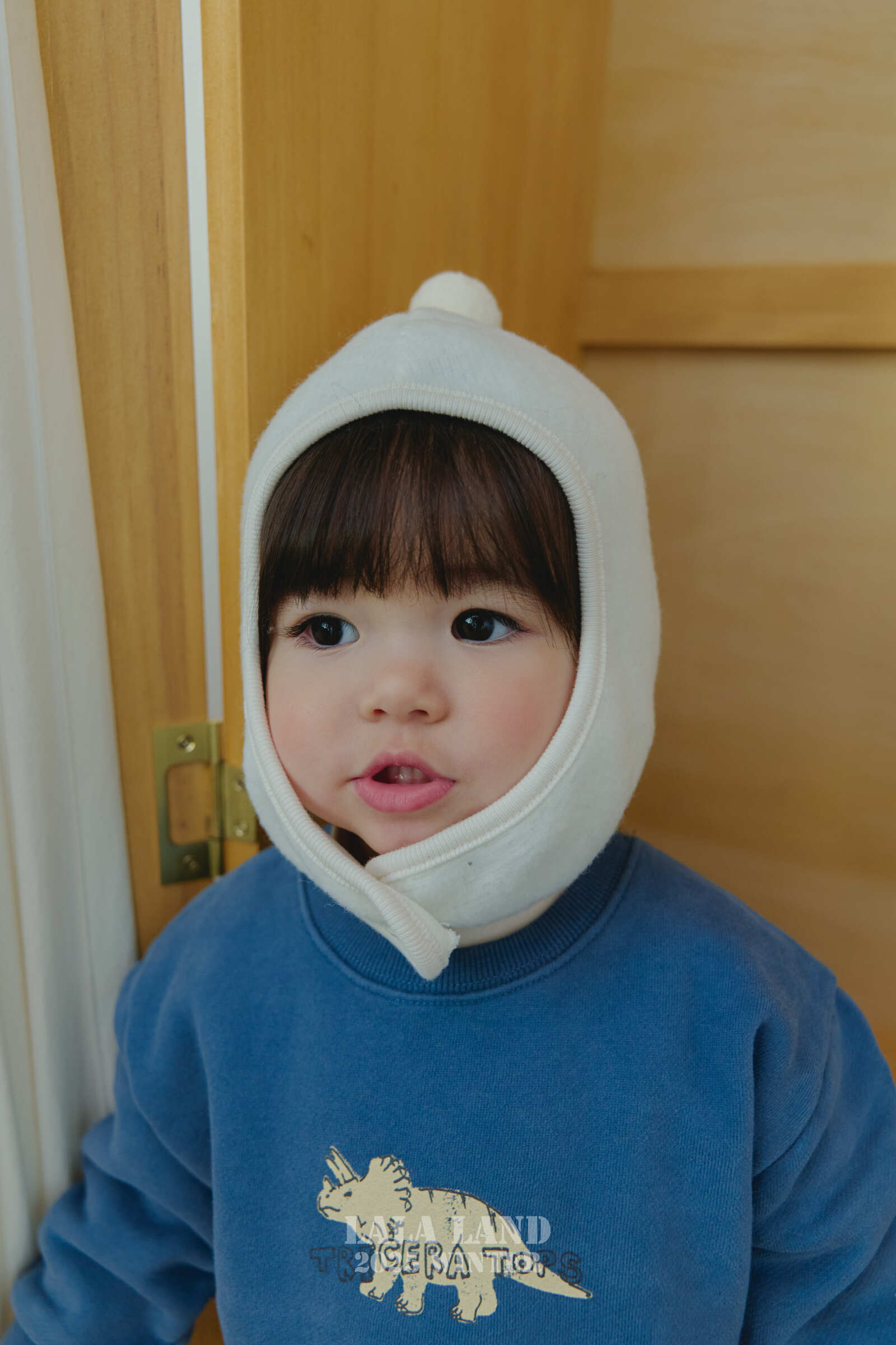 1027 라라랜드48412