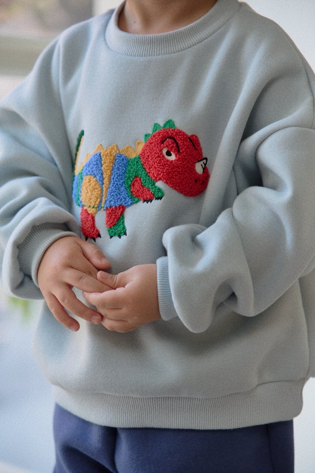 _EOsAC4.5EcJyRHy1l9_11