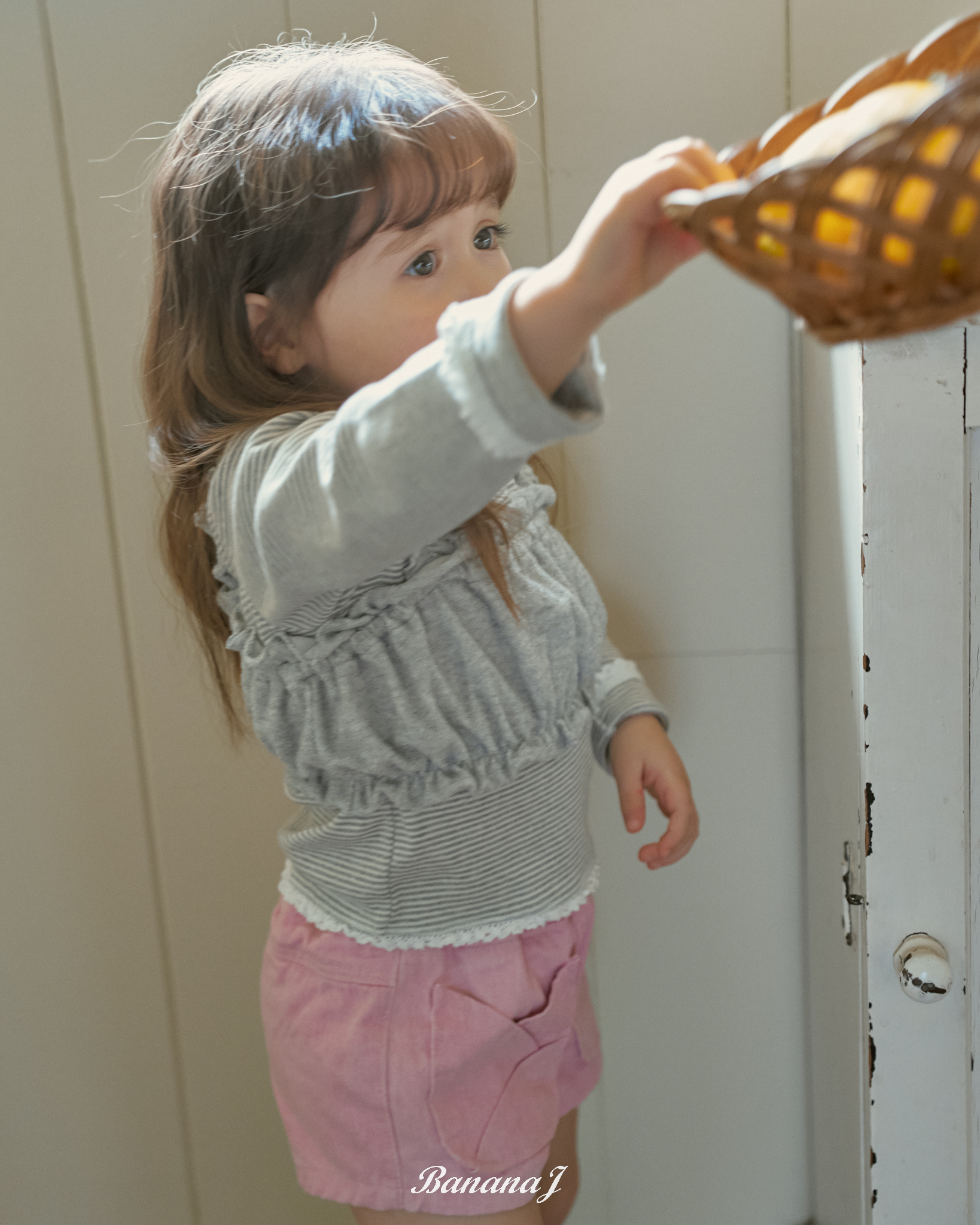 바나나제이2865