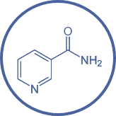 niacinamide ic@2x 1