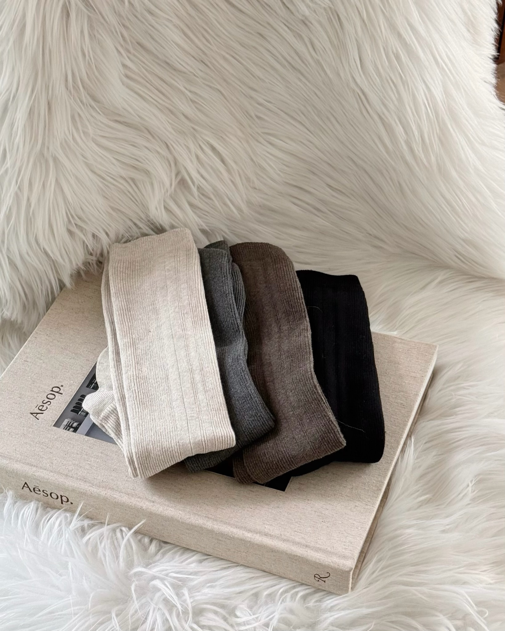 image_16ACD3D6-399B-4838-A4D0-32F969CBA766_1763978705